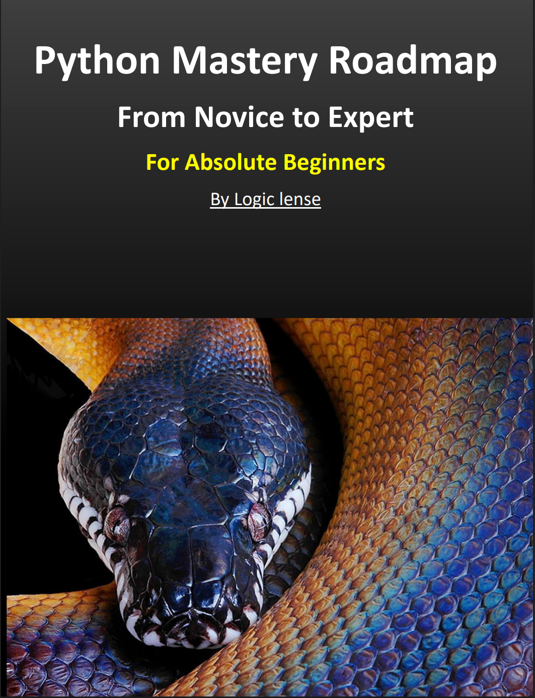 python mastery roadmap